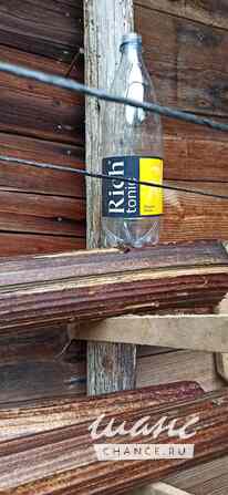 Борщевик гигантские стволы Санкт-Петербург - изображение 8