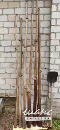 Борщевик гигантские стволы Санкт-Петербург - изображение 4