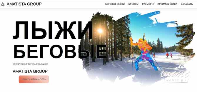 Легендарные лыжи TELEHANY и SNOWWAVE Санкт-Петербург - изображение 1