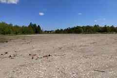 Земельный участок 48 соток, Вокзальная улица