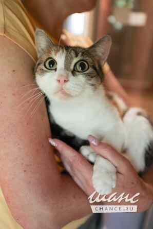 Тургеневская потеряша в центре Москва - изображение 4