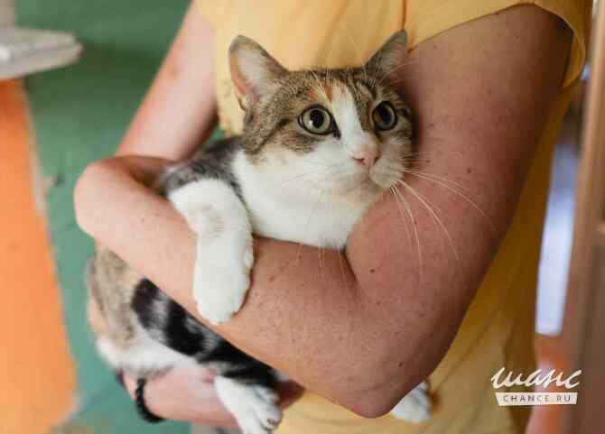 Тургеневская потеряша в центре Москва - изображение 1