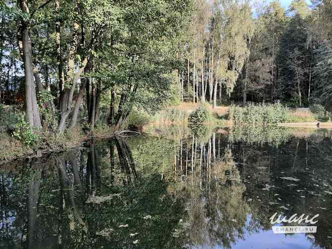 Земельный участок 8 соток, Садоводство, Полевая улица Домодедово - изображение 9