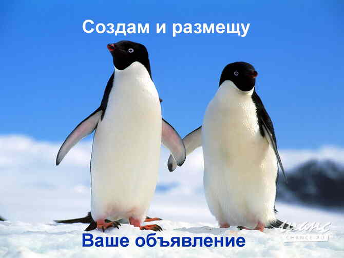 Создание объявлений(помощь) Россошь - изображение 1