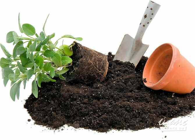 Почвогрунт Березники - изображение 1