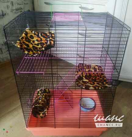 Клетки для крыс и хомяков Санкт-Петербург - изображение 4