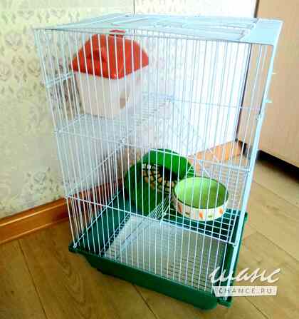 Клетки для крыс и хомяков Санкт-Петербург - изображение 6