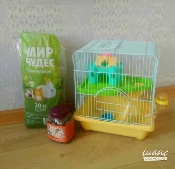 Клетки для крыс и хомяков Санкт-Петербург - изображение 8