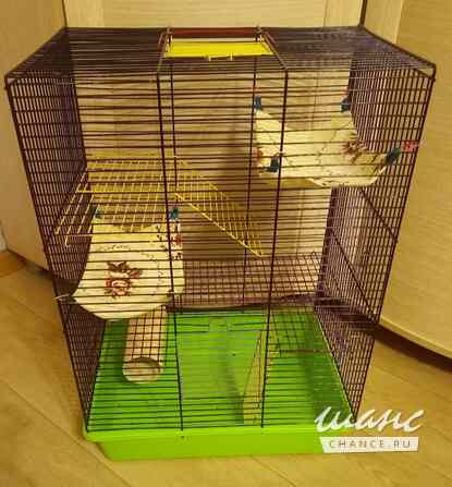 Клетки для крыс и хомяков Санкт-Петербург - изображение 2