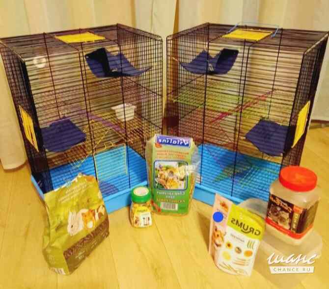 Клетки для крыс и хомяков Санкт-Петербург - изображение 1