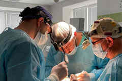 Врач - отоларинголог, пластический хирург