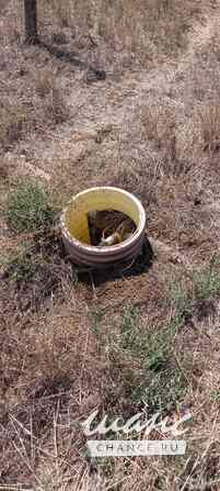 Продам У МОРЯ. Крым.ФЕОДОСИЯ Феодосия - изображение 7