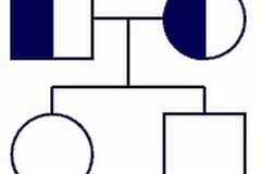 Требуется медицинский регистратор в сфере Медицина, фармацевтика