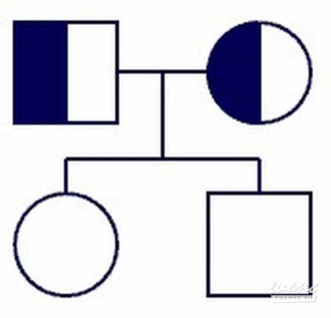 Требуется медицинский регистратор в сфере Медицина, фармацевтика Барнаул - изображение 1