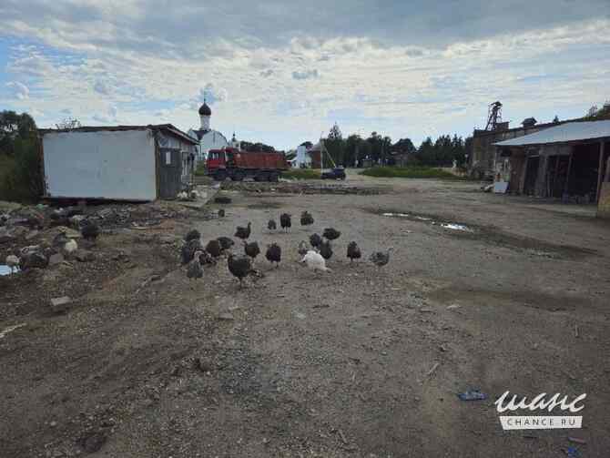 Земельный участок 80 соток Наро-Фоминск - изображение 5