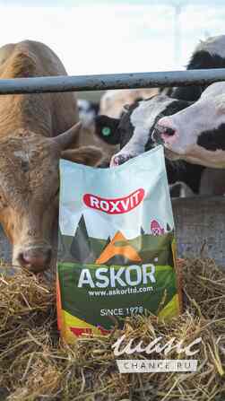 Roxvit Ростов-на-Дону - изображение 1