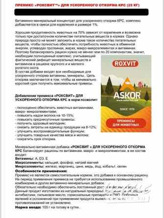 Roxvit Ростов-на-Дону - изображение 2