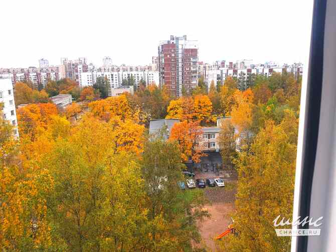 Продам 1-комнатную квартиру 36.2 м², этаж 11/14 Приморская Санкт-Петербург - изображение 5