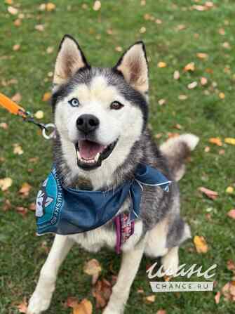 Джимми ищет дом Москва - изображение 2