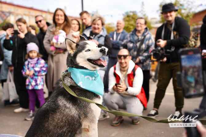 Джимми ищет дом Москва - изображение 3