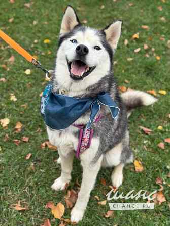 Джимми ищет дом Москва - изображение 6