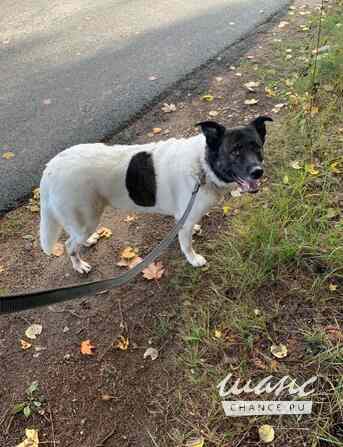 Шарлотта ищет дом Санкт-Петербург - изображение 4