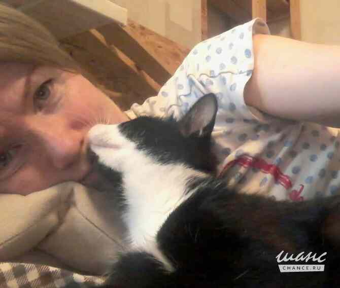 Маленькая кошка Антоша ищет дом Санкт-Петербург - изображение 4