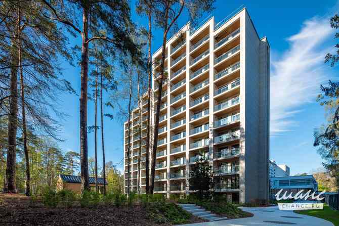 1-к квартира, 23.4 м², этаж 9/12 Зеленогорск - изображение 2