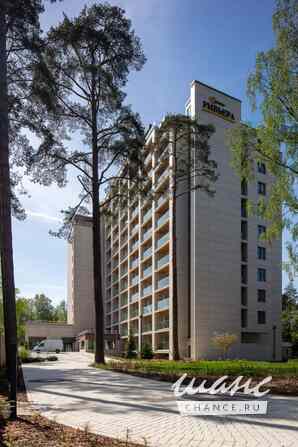 1-к квартира, 22.5 м², этаж 8/12 Зеленогорск - изображение 4