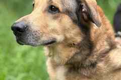 Тюбик очень ждет свою семью!