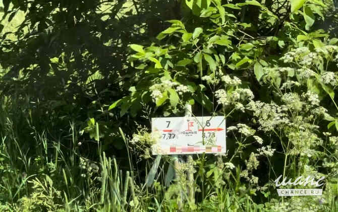 Земельный участок 8 соток Дмитров - изображение 4