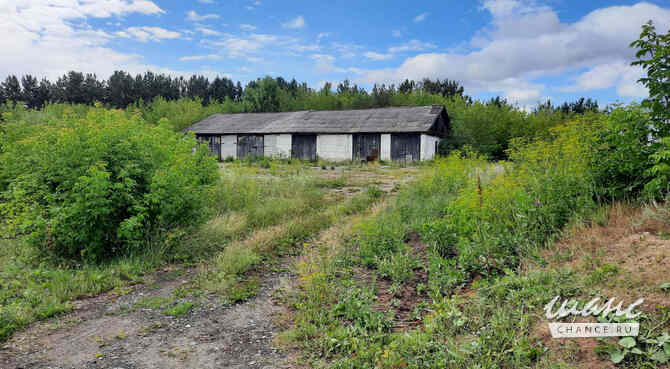 Земельный участок 76 соток, Королева улица Юргинское - изображение 1