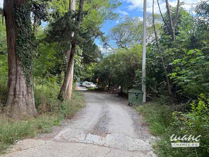 Земельный участок 24 соток, ИЖС, Культурная ул. Сочи - изображение 6