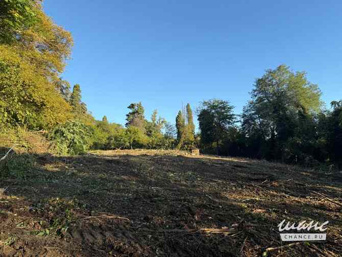 Земельный участок 24 соток, ИЖС, Культурная ул. Сочи - изображение 3