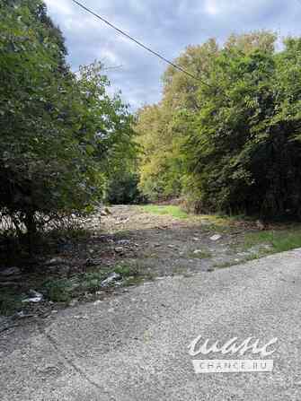 Земельный участок 24 соток, ИЖС, Культурная ул. Сочи - изображение 8