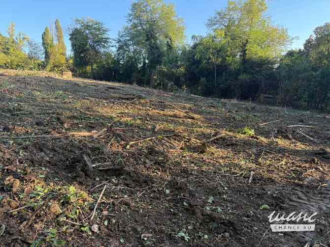 Земельный участок 24 соток, ИЖС, Культурная ул. Сочи - изображение 5