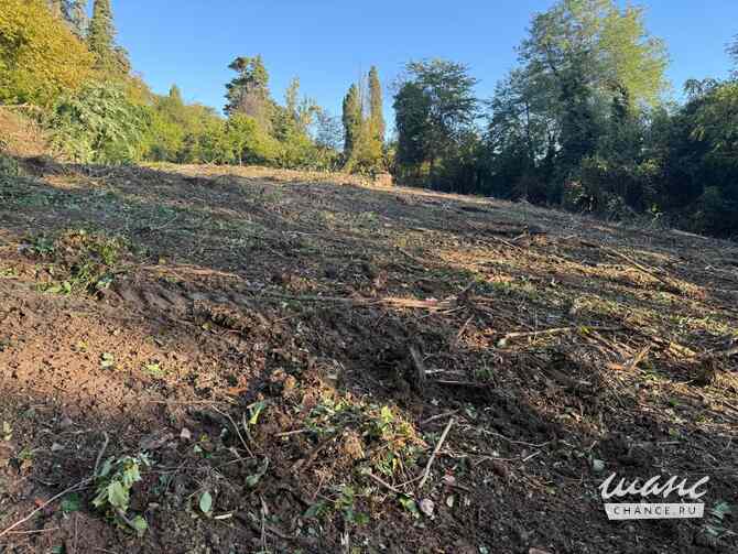 Земельный участок 24 соток, ИЖС, Культурная ул. Сочи - изображение 4