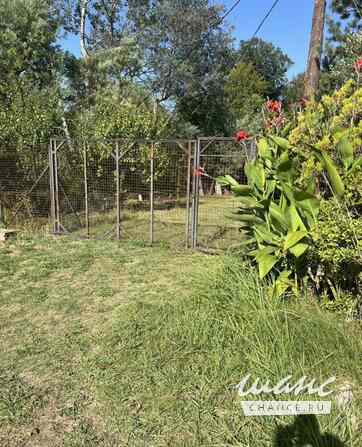 Земельный участок 6 соток, ИЖС, Банановая улица Сочи - изображение 1