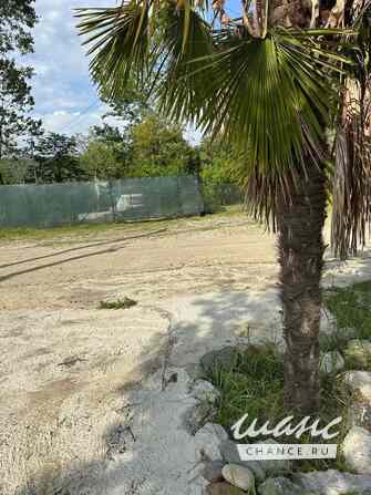 Земельный участок 6 соток, ИЖС, Банановая улица Сочи - изображение 2