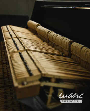 Настройка пианино Москва - изображение 3