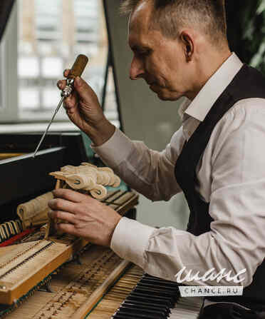 Настройка пианино Москва - изображение 5