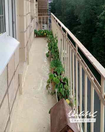 Продам 2-комнатную квартиру 44,3 м², этаж 5/9 Санкт-Петербург - изображение 6