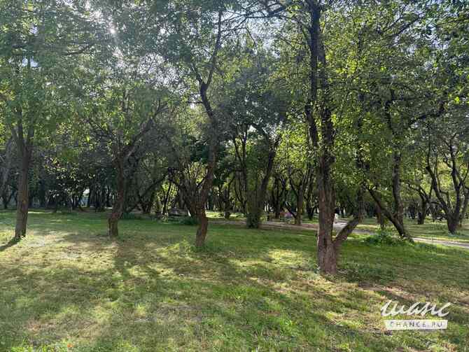 2-к квартира, 37 м², этаж 2/8 Москва - изображение 4