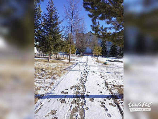 продажа - здания, строения  - изображение 3