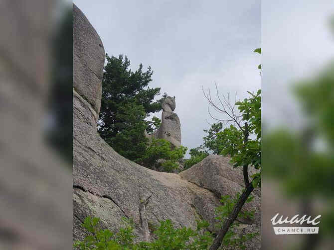 Земельный участок 40000 соток  - изображение 9