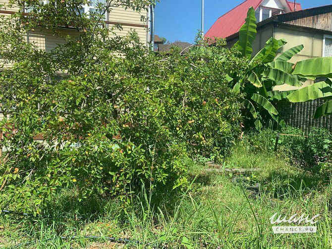 Коттедж 157 м², Заря садовое товарищество, 66 Сочи - изображение 3