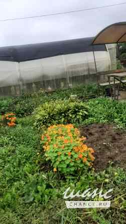 Земельный участок 6 соток Хабаровск - изображение 2