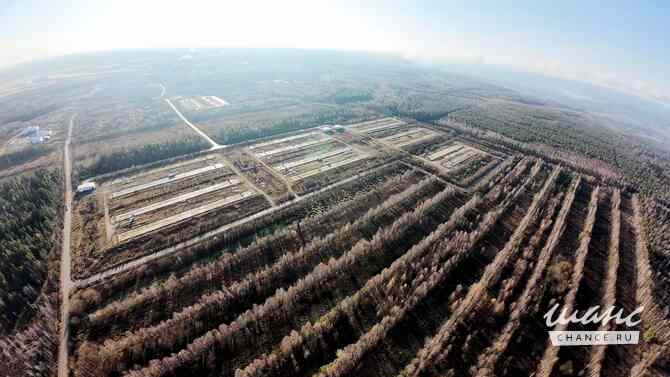 Земельный участок 20000 соток, 719 а/дороги Москва-Архангельск километр Вельск - изображение 10