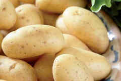 Алтайский картофель оптом для готовки, сушки, чипсов и фри