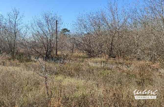 Земельный участок 128 соток, Совхоз Медведево территория Ижевск - изображение 2